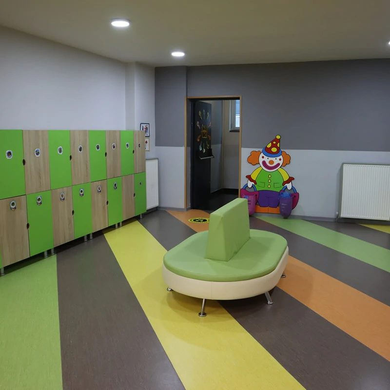 Anasinifi_giris_alani